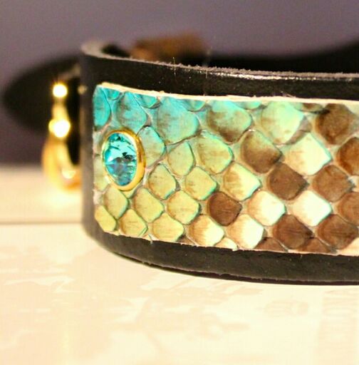 Black Swan Dog Collar - BARCELONADOGS