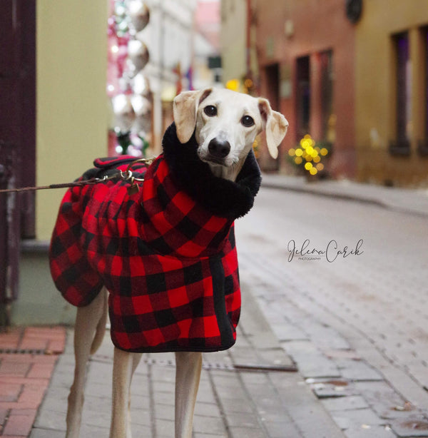 Red Black Buffalo Plaid Sighthound Coat