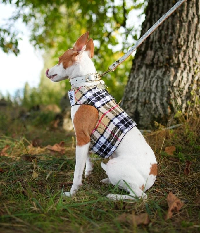 Camel Tartan Harness Coat