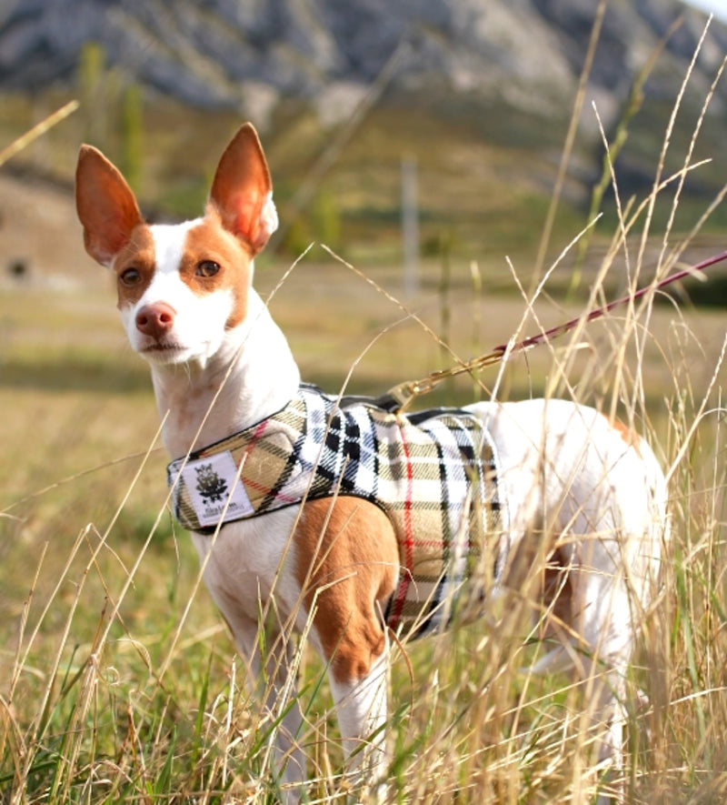 Camel Tartan Harness Coat