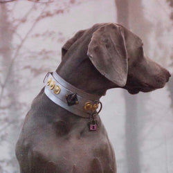 Buddha Silver Dog Collar - BARCELONADOGS