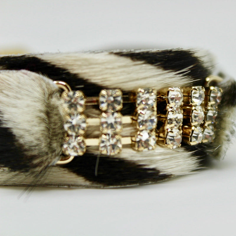 Collar para perro Masculino Zanzibar - BARCELONADOGS