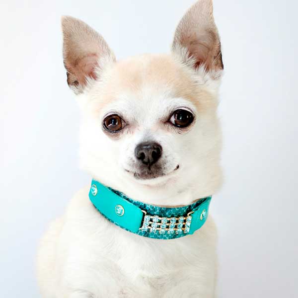 Collar para perro Elle - BARCELONADOGS