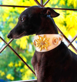 Wild Empress Crystallized Sighthound Collar - BARCELONADOGS