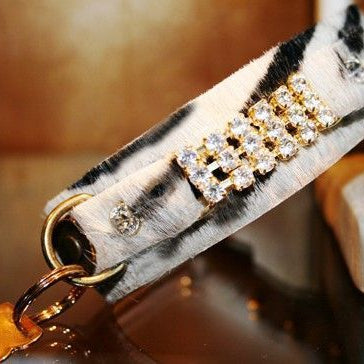 Collar para perro Masculino Zanzibar - BARCELONADOGS