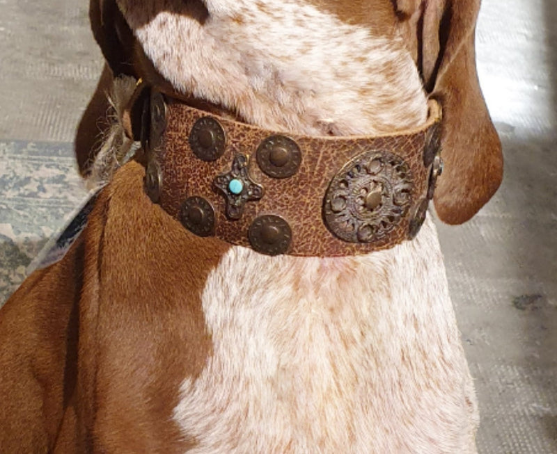 Black Leather Dog Collar - Small - Medium - Large- Western Conchos LL#