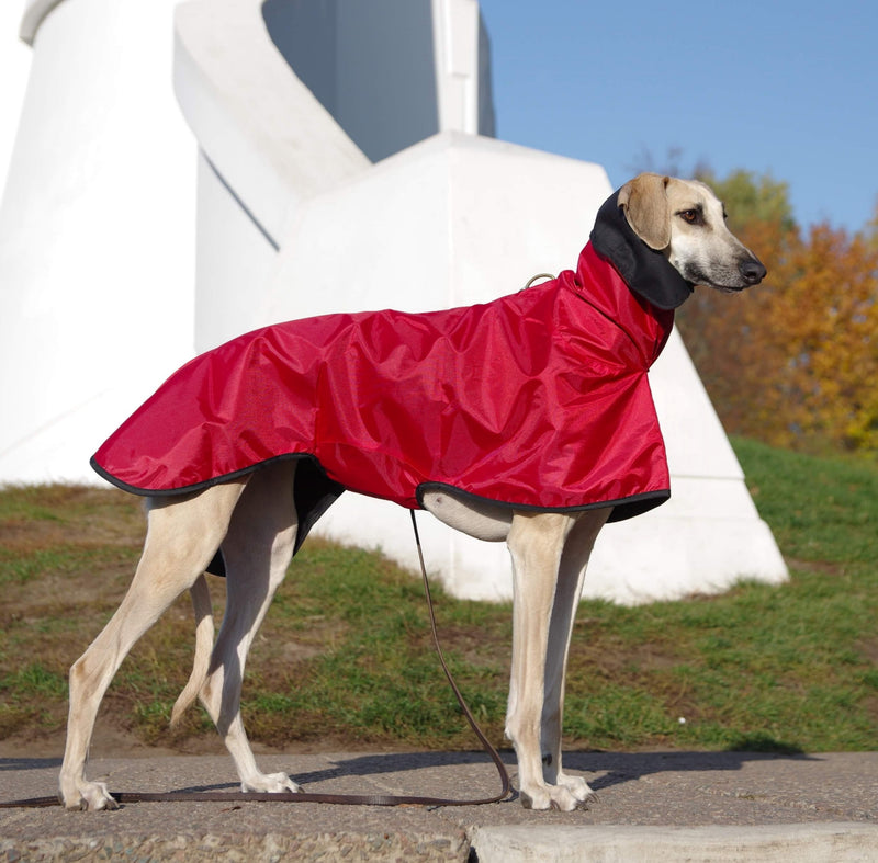 Little Red Riding Hood Coat Sighthounds