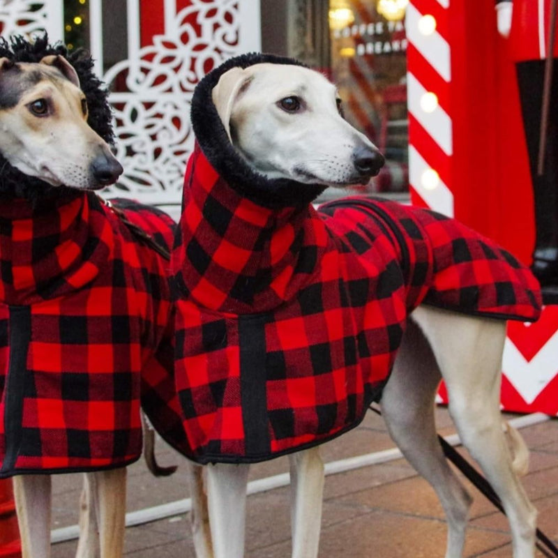 Red Black Buffalo Plaid Coat - BARCELONADOGS