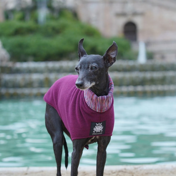 Italian Greyhound Fleece Coat