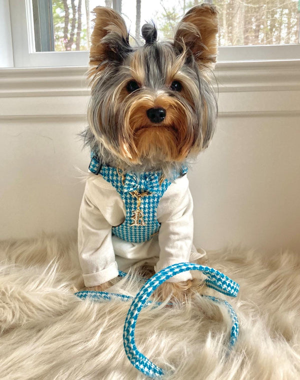 LUXURY Turquoise Pepita Harness