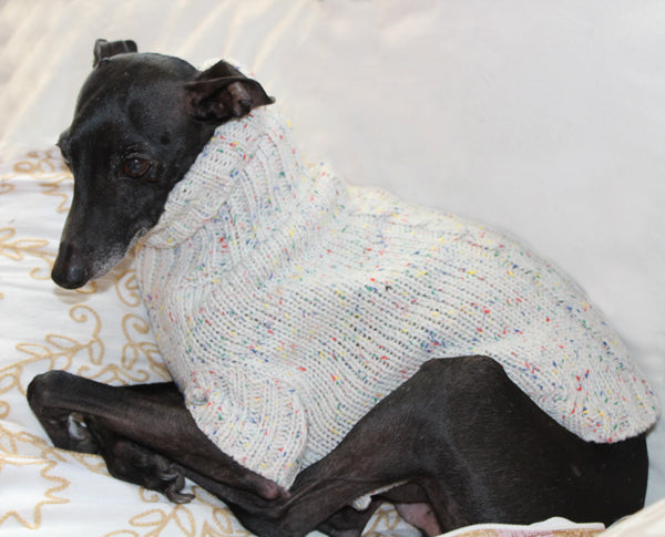 Greyhound sweaters sales
