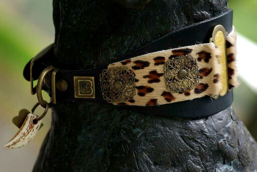 Lazaro Sighthound Collar - BARCELONADOGS