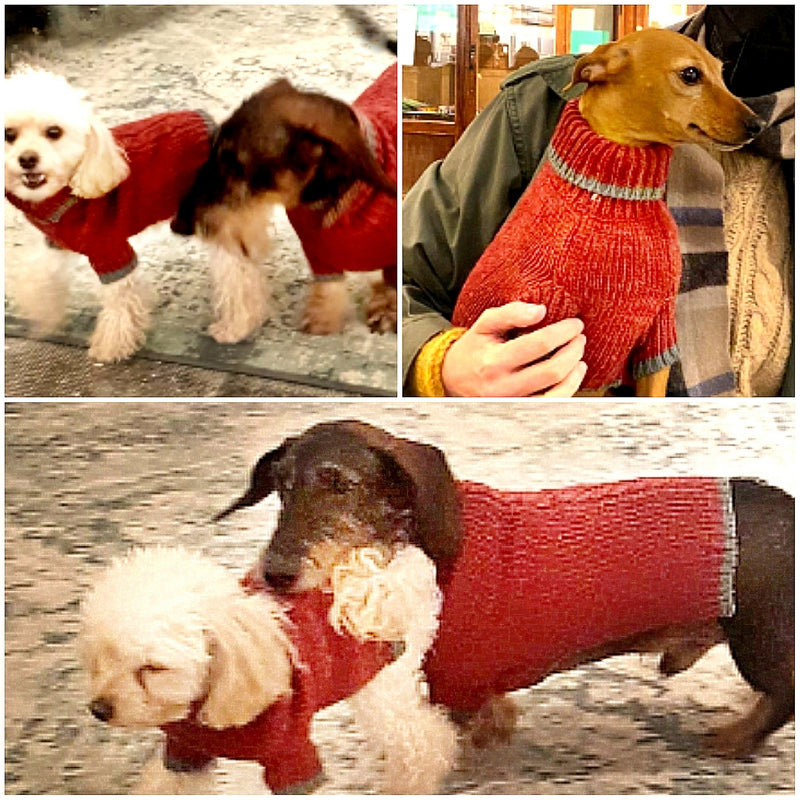 red dog sweater