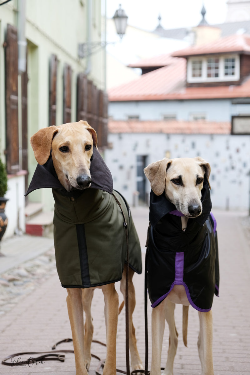 NEW Sporty chic rain/wind coat