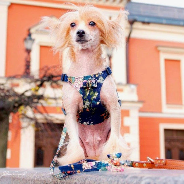 Tropical Navy Dog Harness - BARCELONADOGS