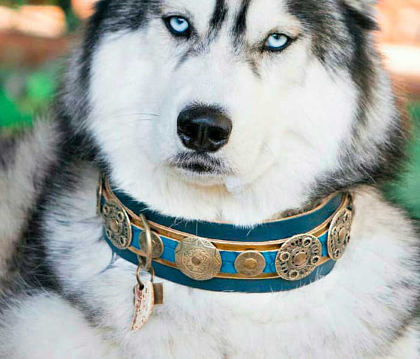 Viking de Luxe Dog Collar