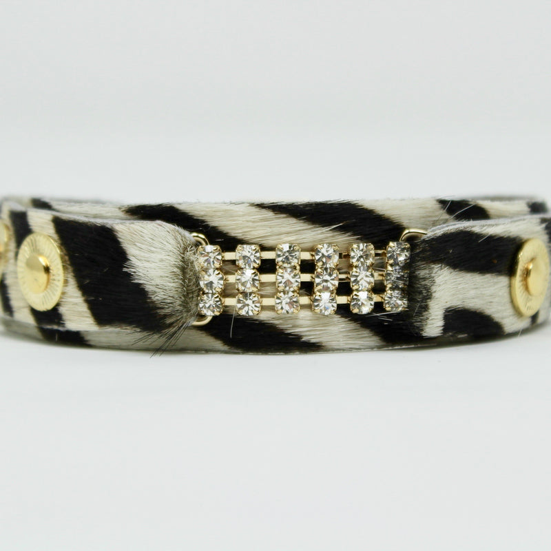 Collar para perro Masculino Zanzibar - BARCELONADOGS