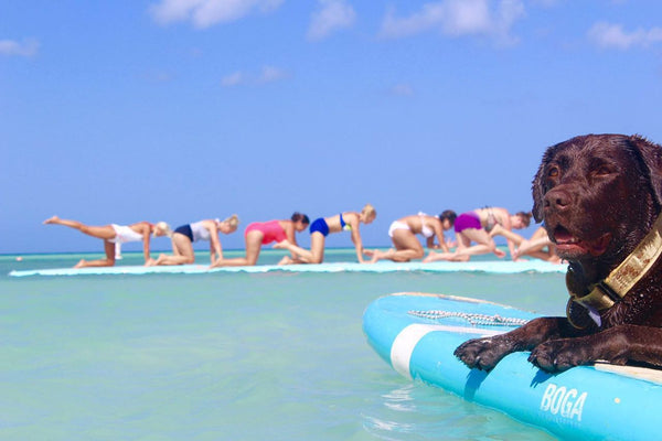Zufriedene Kunden - Zeugnisse